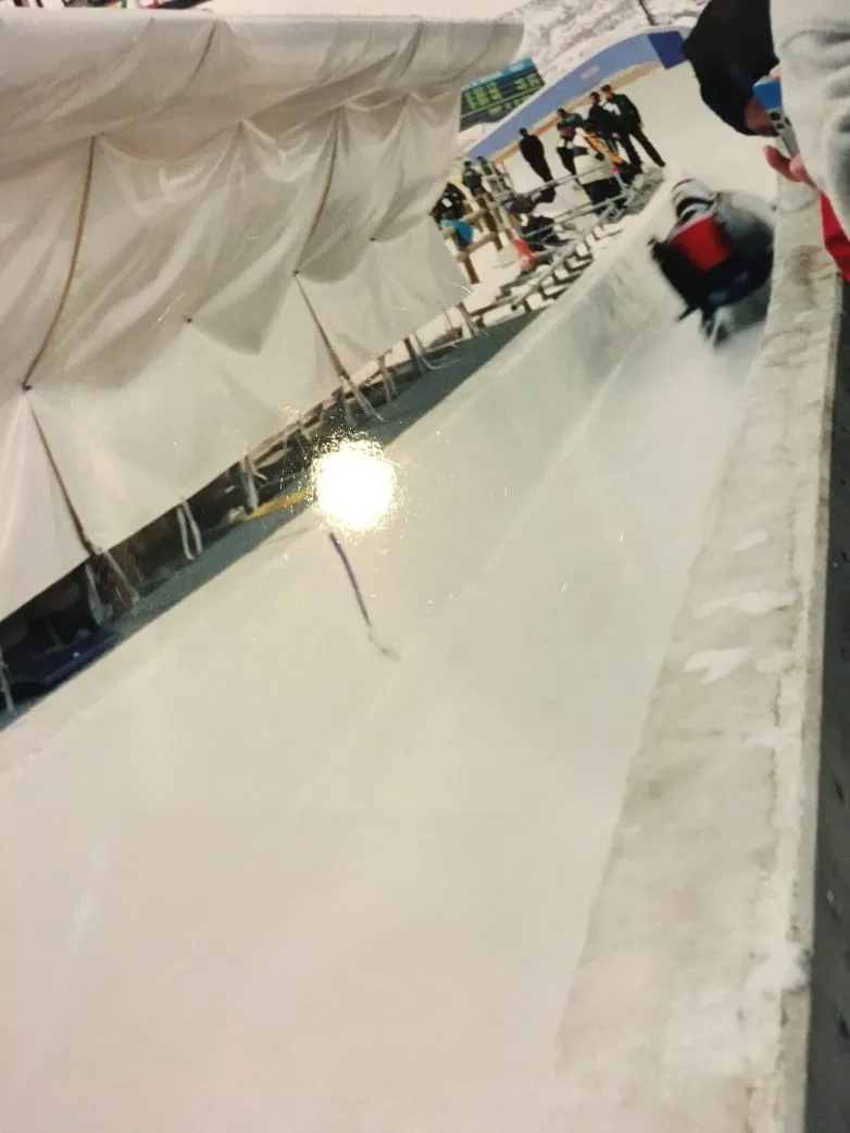 Fridge Stare Olympics